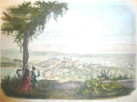 CLICK TO ENLARGE